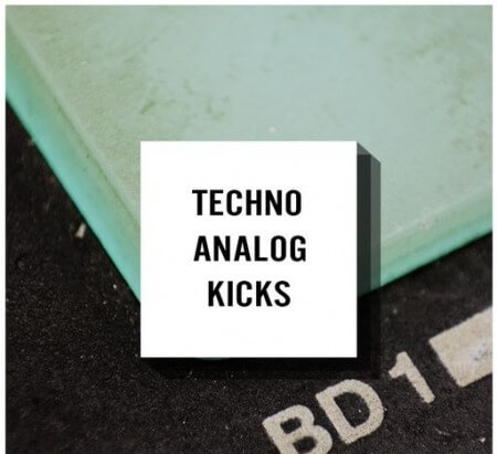 Whitenoise Records Techno Analog Kicks WAV